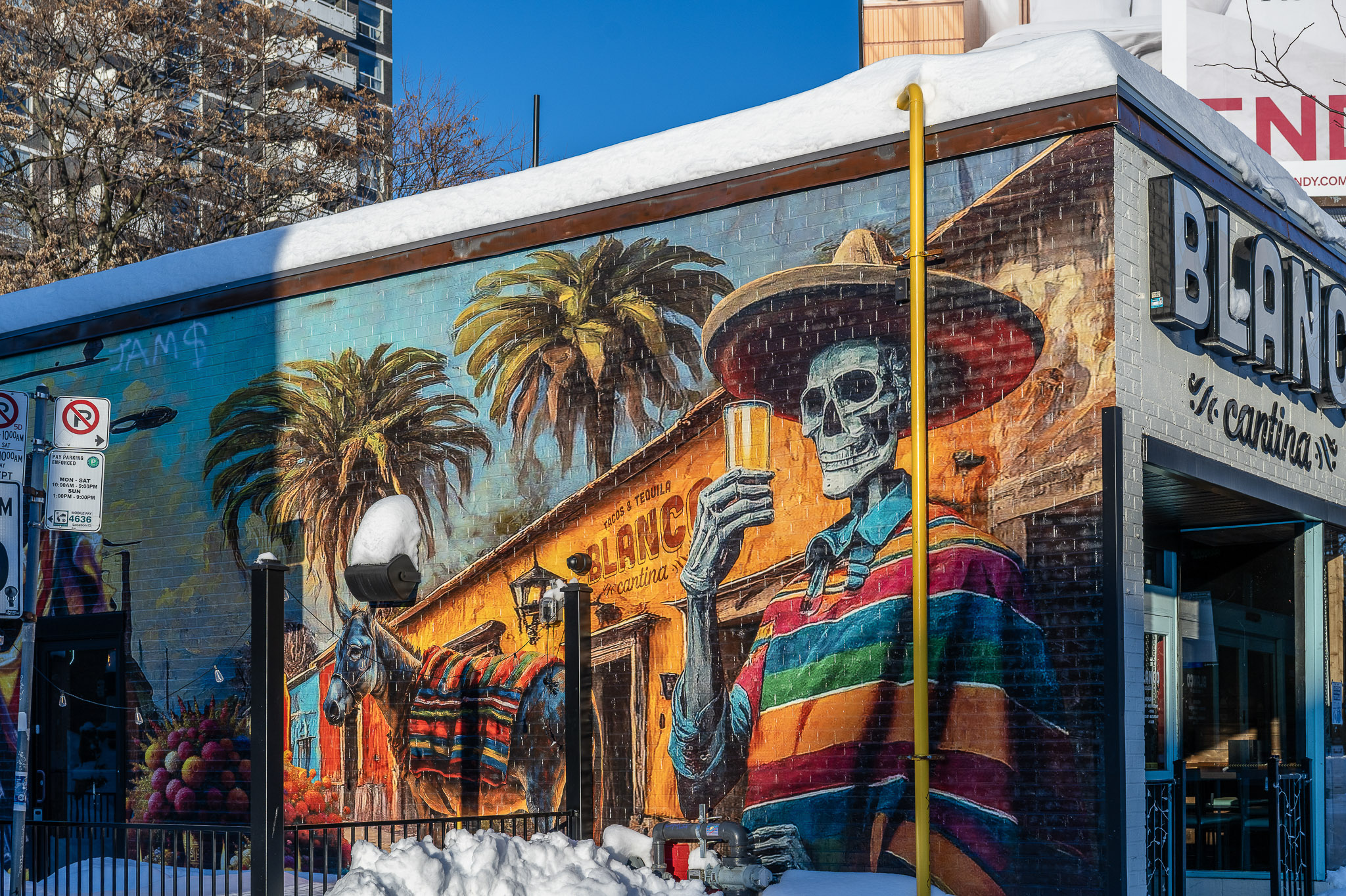 Toronto Street Art Mural